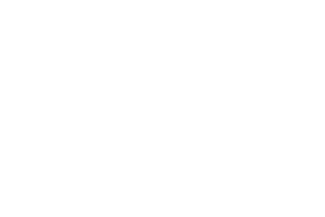 Temeka Group cannabis client icon - STIIIZY