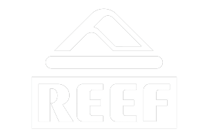 Temeka Group client icon - Reef