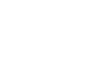 Temeka Group team store client icon - Lakers