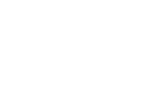 Temeka Group's University client icon - LBCC