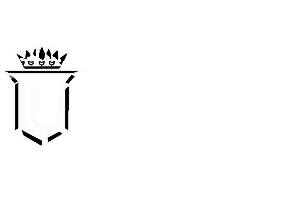 Temeka Group's University client icon - Servite High School