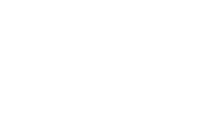 Temeka Group client icon - ORIS